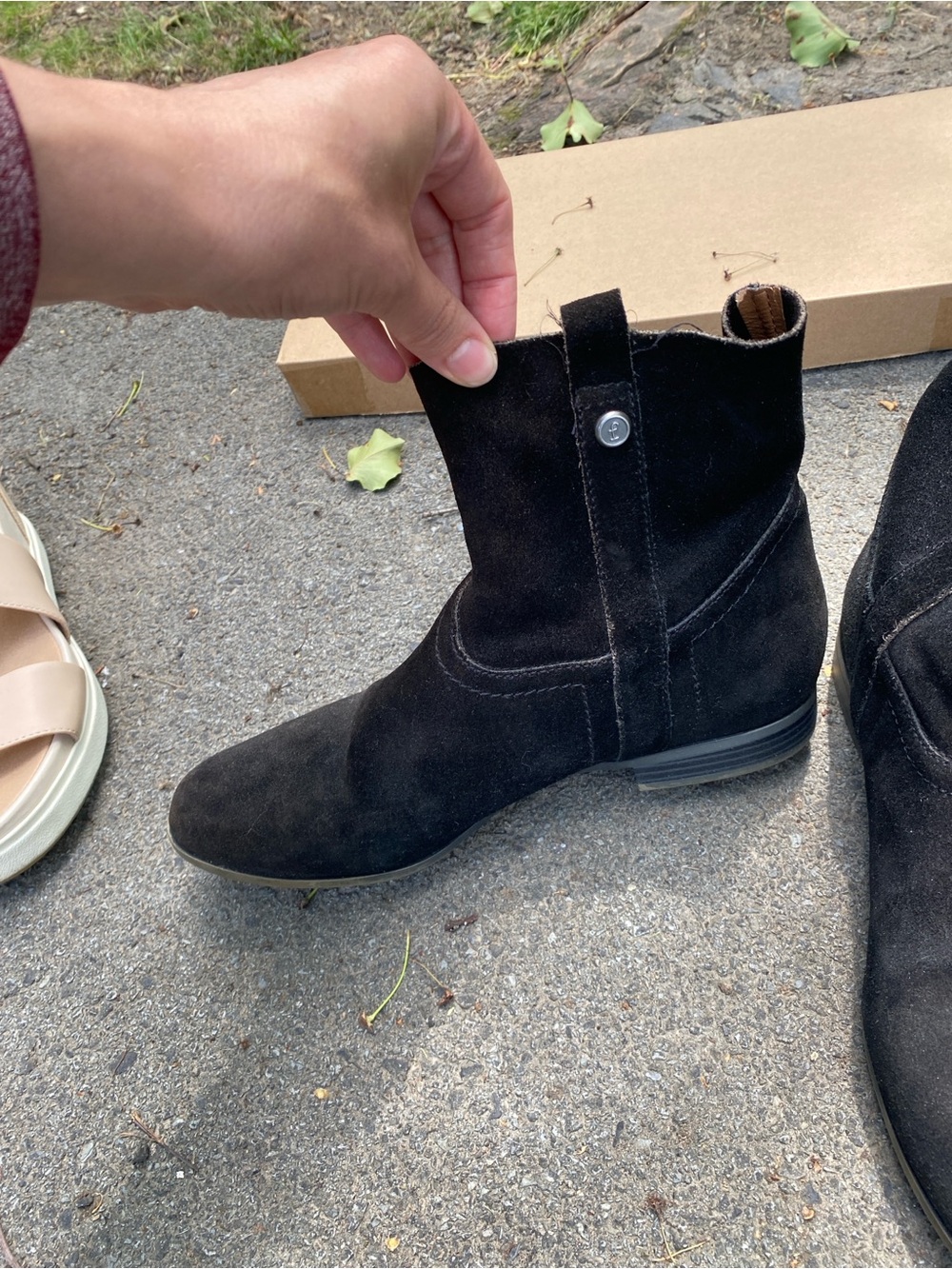 FRYE AND CO. Black Suede Ankle Booties